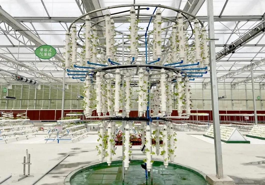 封闭式管理学校 第404页