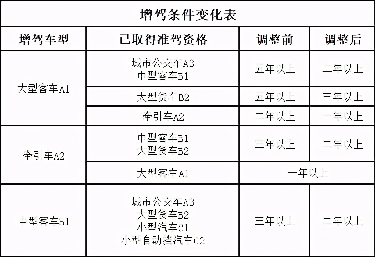 最新驾照政策详解概览