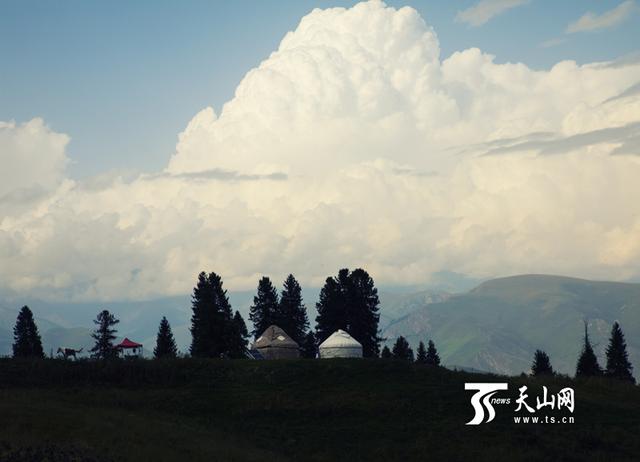 羊了个羊新皮肤探索自然美景的治愈之旅最新报道