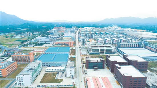 恩平市最新发展状况更新报告