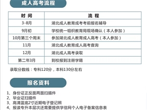 麻城最新招聘信息，职场与友情的交织温馨故事
