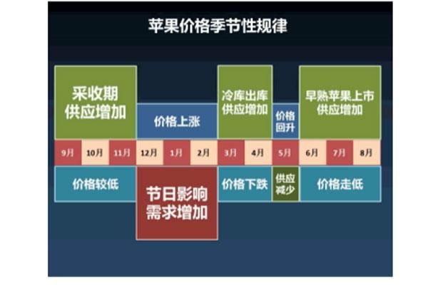 重庆旭阳教育 第57页