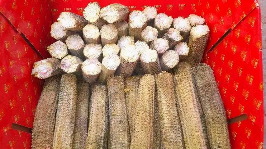 儿童教育 第60页