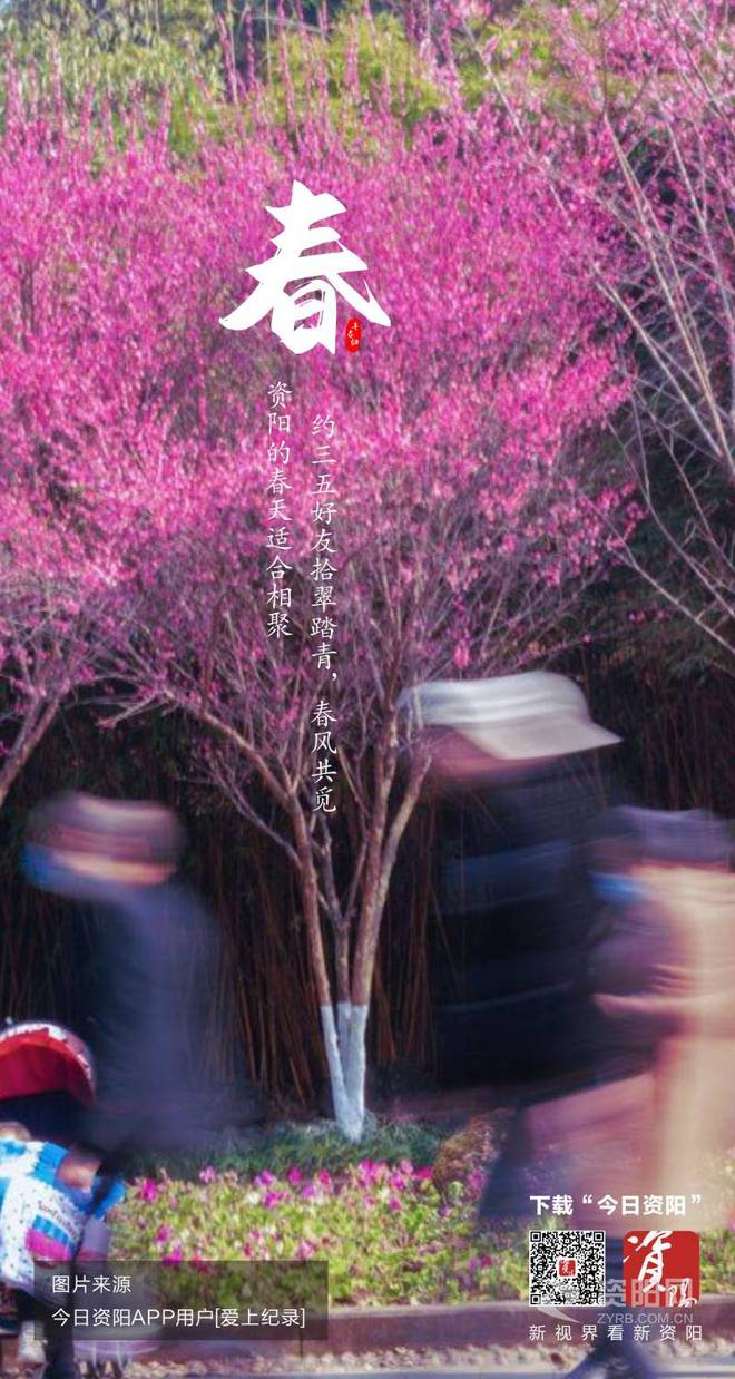黎园春最新一期绽放春日魅力✨