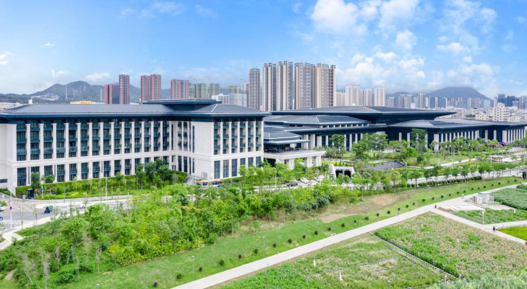 深圳坪山发展最新动态，一种观点的深度解析及其影响