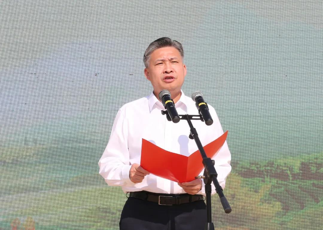 安吉县王树最新任命步骤详解，初学者与进阶用户的指南